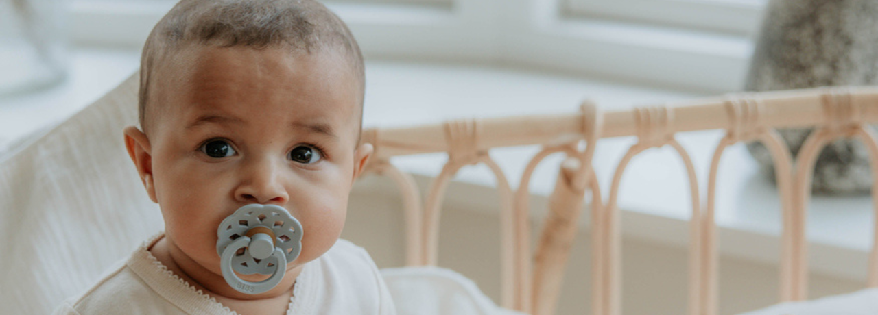 Room to Bloom Pacifier Collection