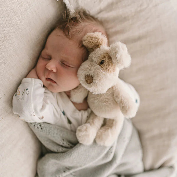 Buddy the Dog is baby's best friend 🐶 Such a cute inclusion in your gift hamper. Perfect for a little boy or girl ❤️💜❤️