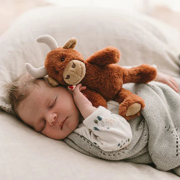 Say hello to Henry the Highland Cow. Isn't he just the cutest 😍  Not only does he have lots of soft bits for tiny hands to squeeze and cuddle, he also has a rattle - an instant reward, teaching cause and effect 🐮