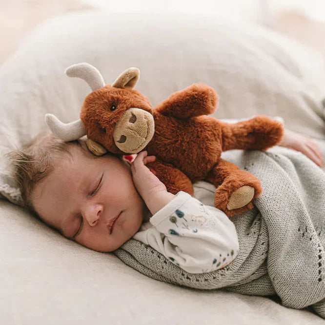 Say hello to Henry the Highland Cow. Isn't he just the cutest 😍  Not only does he have lots of soft bits for tiny hands to squeeze and cuddle, he also has a rattle - an instant reward, teaching cause and effect 🐮