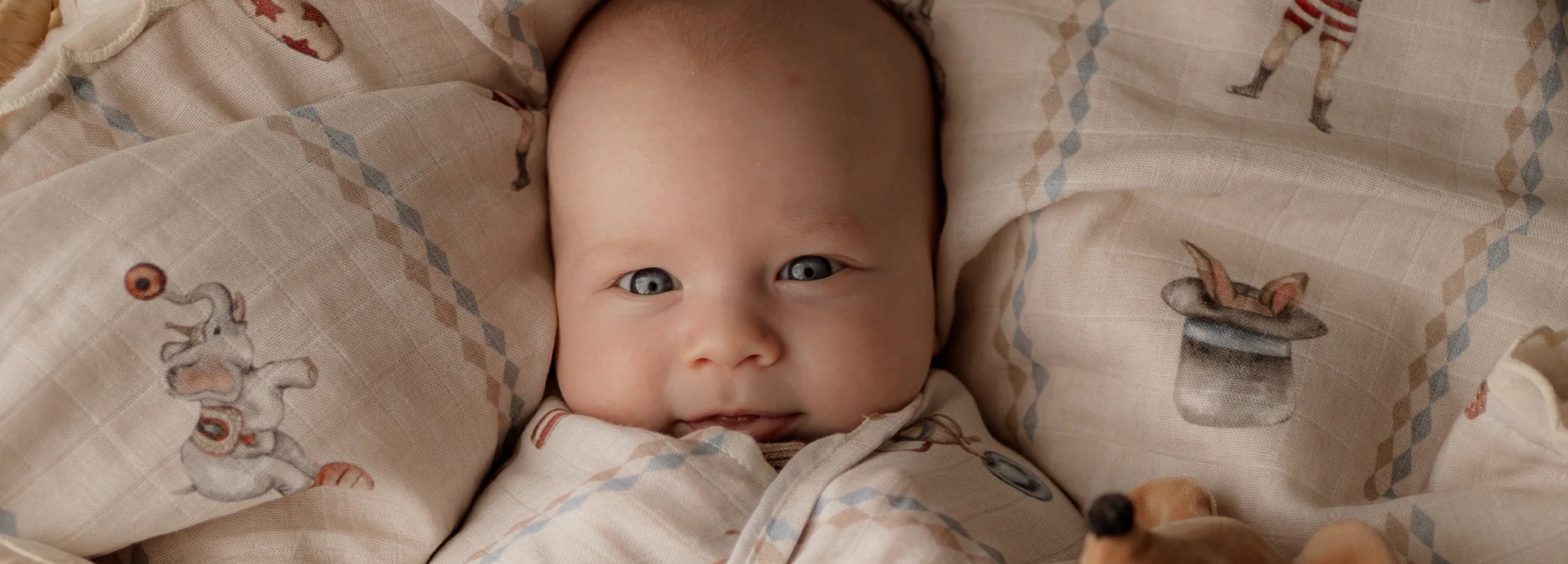 Room to Bloom Baby Swaddles & Wraps collection