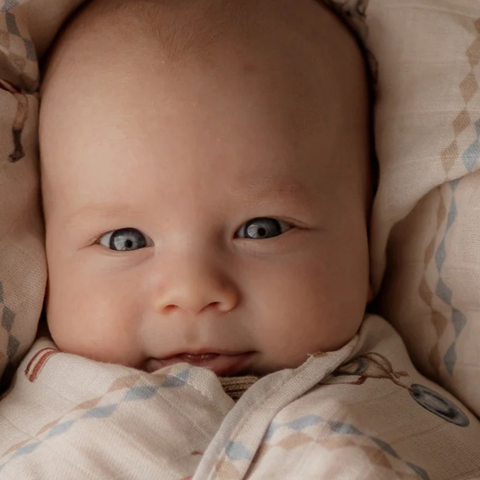 Room to Bloom Baby Swaddles & Wraps collection