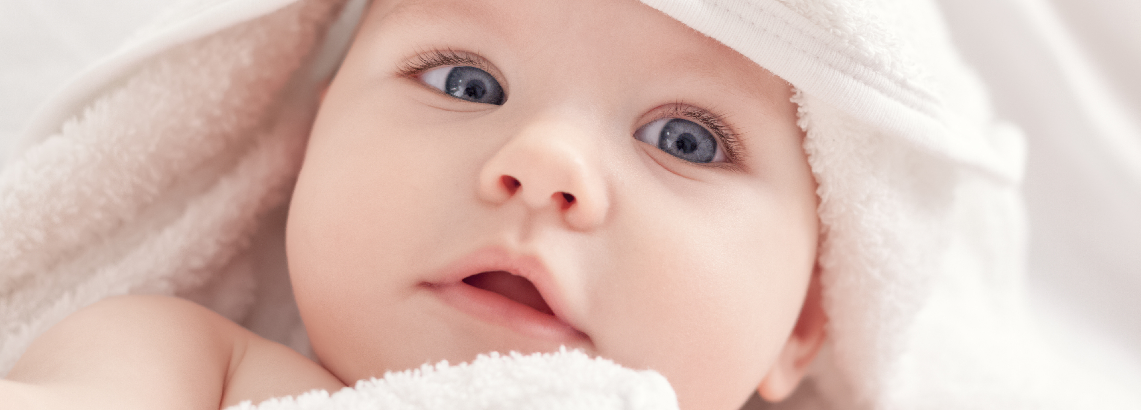 Room to Bloom Baby Bath and Skin Care collection