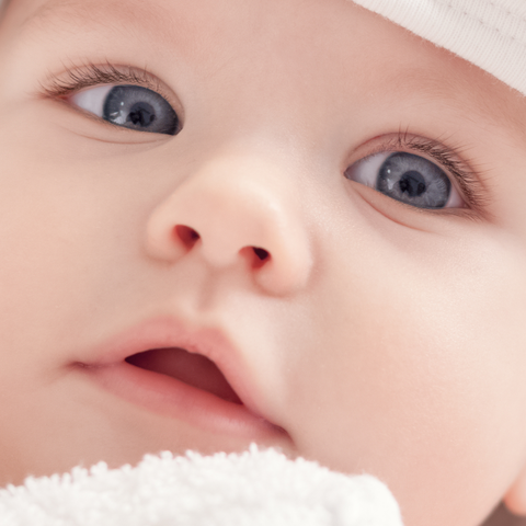 Room to Bloom Baby Bath and Skin Care collection