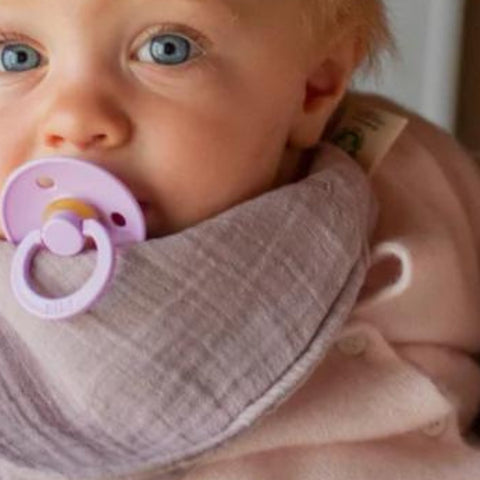 Room to Bloom Bibs Collection