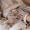 THE LITTLE DOG LAUGHED Hugh Rabbit