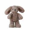 THE LITTLE DOG LAUGHED Hugh Rabbit