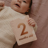 FOX & FALLOW Baby Milestone Cards Boho