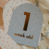 FOX & FALLOW Baby Milestone Cards Broderie