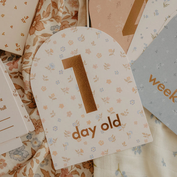 FOX & FALLOW Baby Milestone Cards Broderie