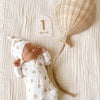 FOX & FALLOW Baby Milestone Cards Broderie