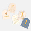 FOX & FALLOW Baby Milestone Cards Broderie