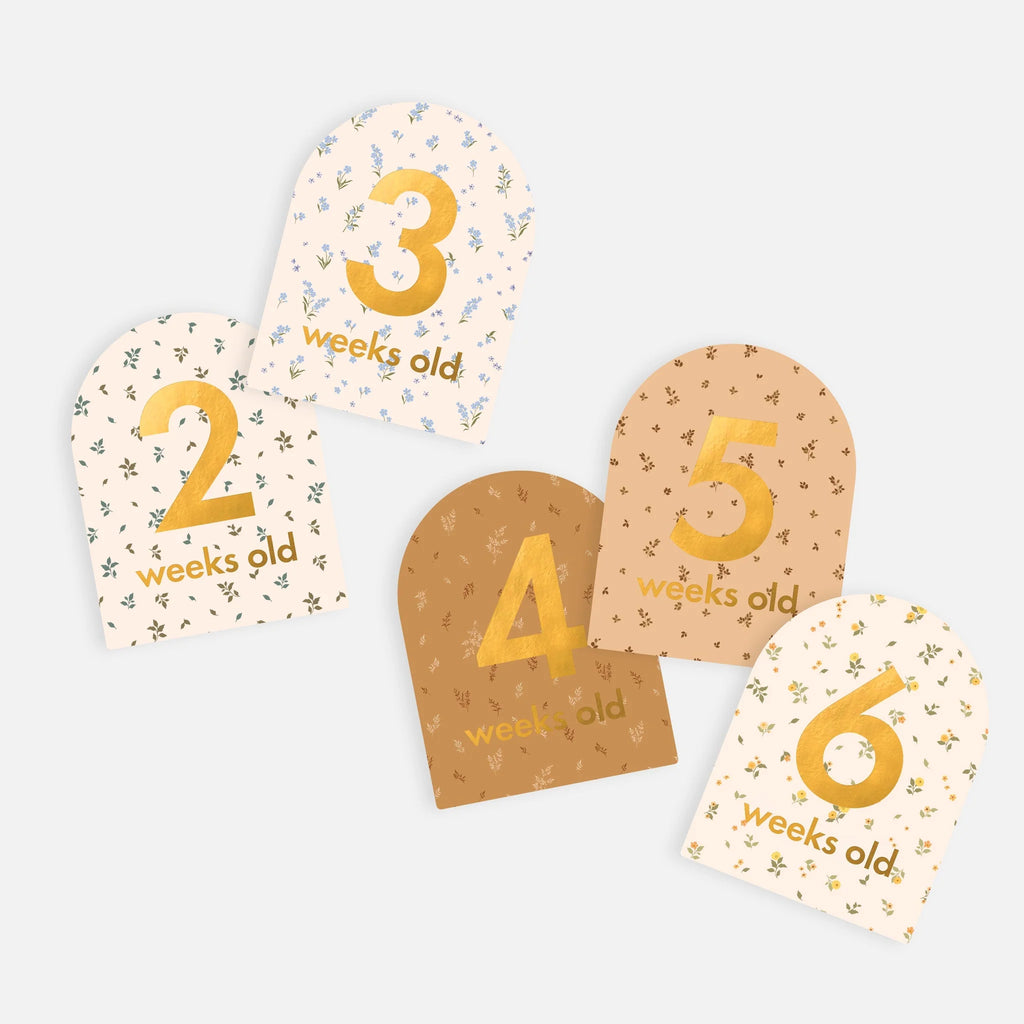 FOX & FALLOW Baby Milestone Cards Broderie