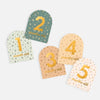 FOX & FALLOW Baby Milestone Cards Broderie