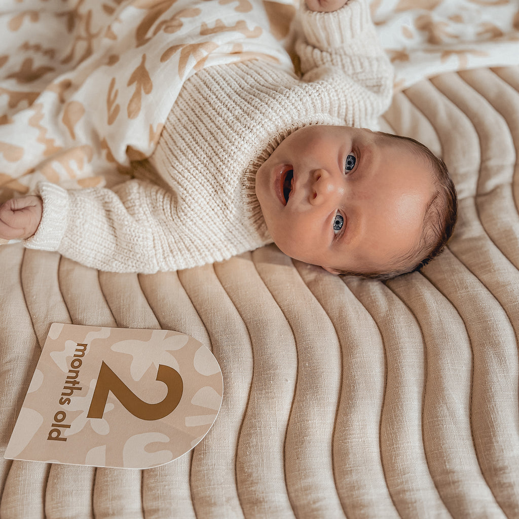 FOX & FALLOW Baby Milestone Cards Helios