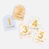 FOX & FALLOW Baby Milestone Cards Helios