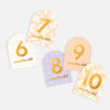 FOX & FALLOW Baby Milestone Cards Helios