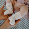 LAMINGTON Merino Wool Baby Crew Socks - Rosa