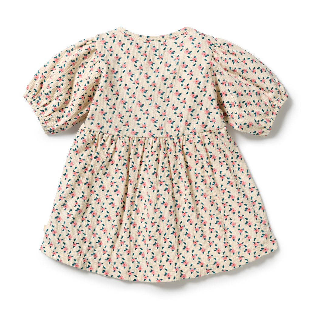 WILSON & FRENCHY Organic Crinkle Button Dress | Little Blossom back