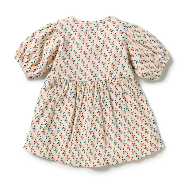 WILSON & FRENCHY Organic Crinkle Button Dress | Little Blossom back