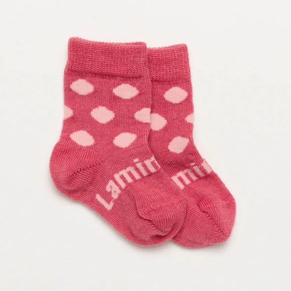 LAMINGTON Merino Wool Baby Crew Socks - Pippa